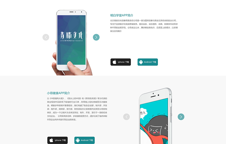 网站建设案例效果图
