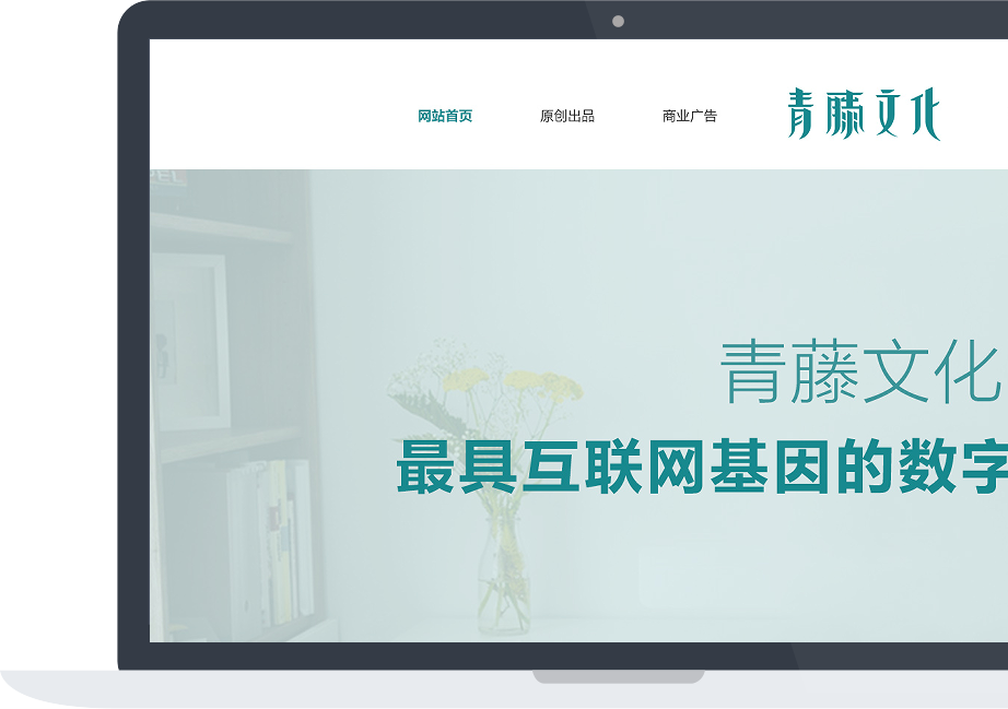 网站建设案例效果图