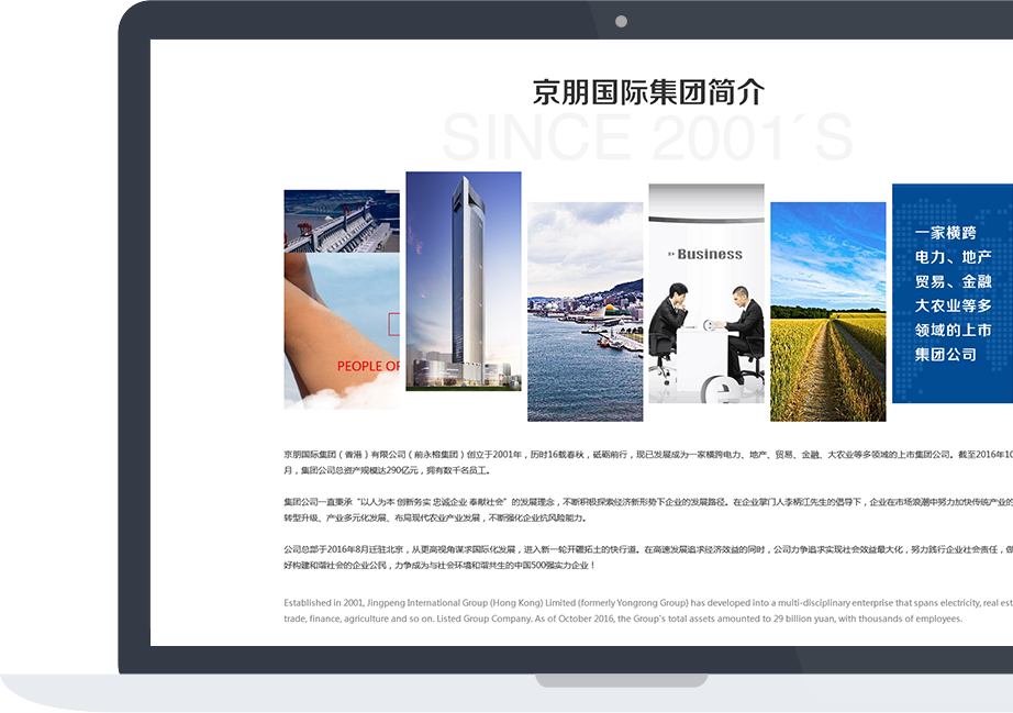网站建设案例效果图