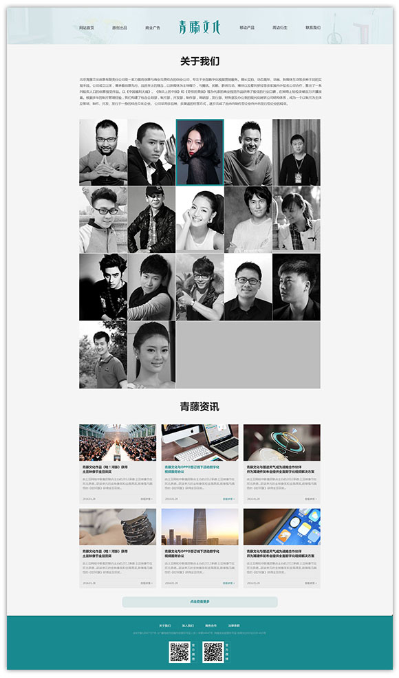 网站建设案例效果图
